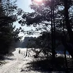 아파트 Am Birkenwaeldchen - Motzener 150m *