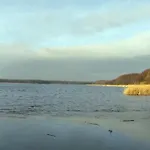 Am Birkenwaeldchen - Motzener 150m * 미텐발데