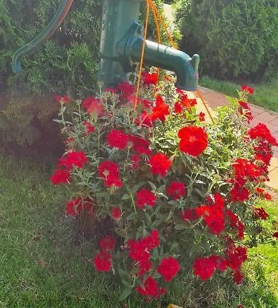 Am Birkenwaeldchen - Motzener 150m Διαμέρισμα *