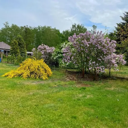 Apartment Am Birkenwaeldchen - Motzener 150m *
