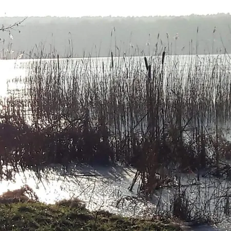 Am Birkenwaeldchen - Motzener 150m Διαμέρισμα Mittenwalde