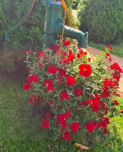 Am Birkenwaeldchen - Motzener 150m Appartement *