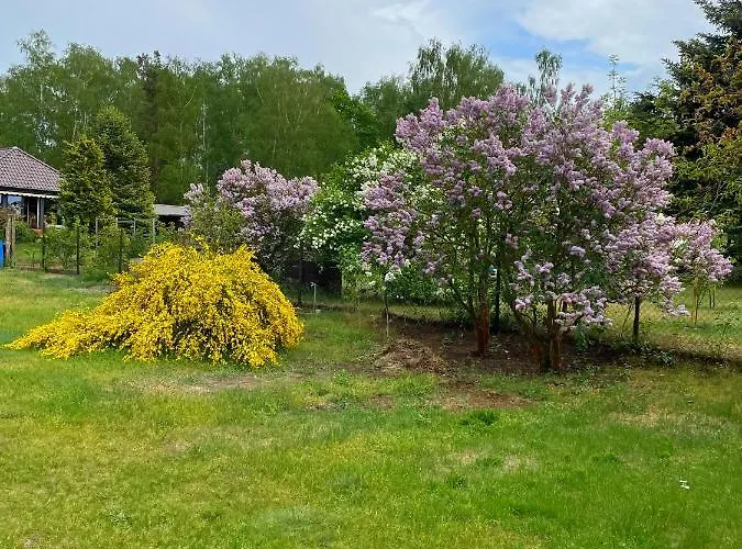 Appartement Am Birkenwaeldchen - Motzener 150m *