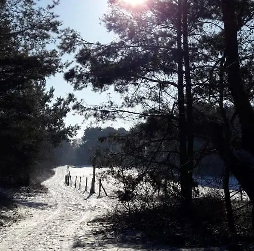 Appartement Am Birkenwaeldchen - Motzener 150m *