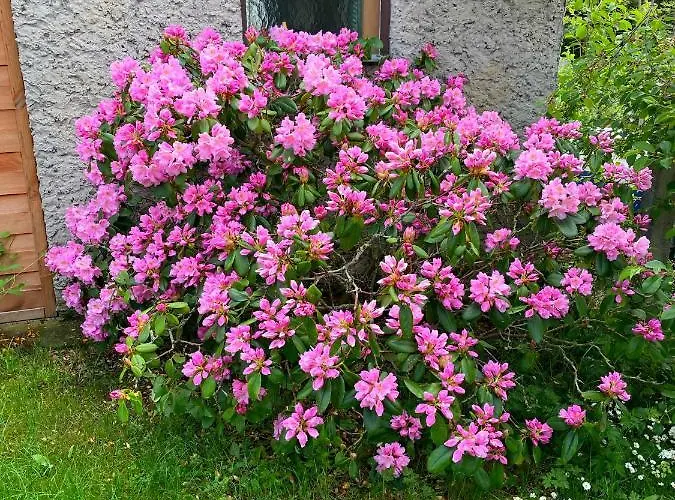 Am Birkenwaeldchen - Motzener 150m Appartement